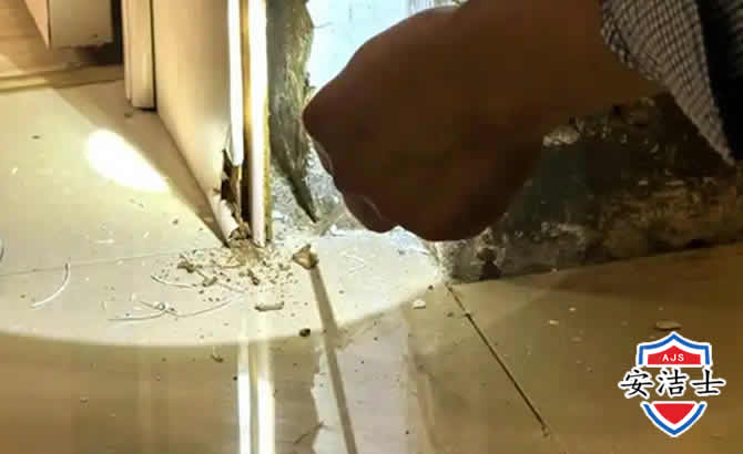 龙华区房屋建筑防治白蚁