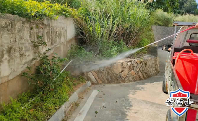 龙华区道路堤坝白蚁防治