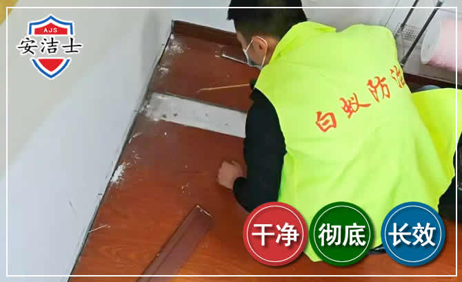 龙华区除四害现场