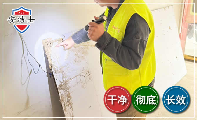 龙华区除白蚁现场