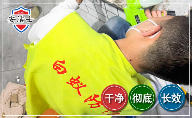 龙华区白蚁根治现场